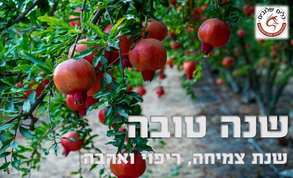 עץ רימון עמוס בפרי בשל, לצד הכיתוב שנה טובה – שנת צמיחה, ריפוי ואהבה